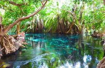 Chemka Hot Spring & Materuni Waterfalls with Sundowner Experience