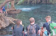 Chemka Hot Spring & Materuni Waterfalls with Sundowner Experience