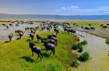 Ngorongoro Crater Exclusive: A Journey into Africa’s Eden