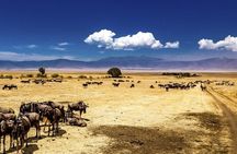 Ngorongoro Crater Exclusive: A Journey into Africa’s Eden
