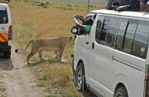 Overnight Tsavo East National Park Safari from Mombasa OR Diani Beach