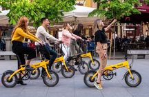 Madrid Electric Bike Small Group Tour: Highlights & Parks 