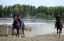 Silk Road discovery: Burana Tower and Cholpon-Ata