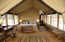 6Days Amboseli, Lake Nakuru and Masai Mara Camping Safari on Jeep