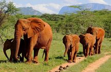 6Days Amboseli, Lake Nakuru and Masai Mara Camping Safari on Jeep