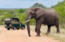 Kruger National Park Full Day Private safari 