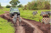 3 Day Amboseli National Park All-Inclusive Camping Safari