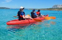 Kayak Tour with Snorkeling and Local Aperitif