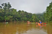5-Day Amazon Camping and Kayaking Discover Yasuni