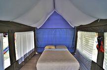5-Day Amazon Camping and Kayaking Discover Yasuni