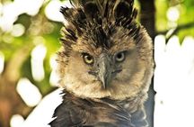 5-Day Amazon Camping and Kayaking Discover Yasuni