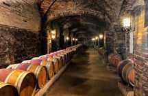 Santa Rita Winery Selection Tour