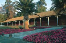 Santa Rita Winery Premium Tour