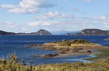 Half-Day Tierra del Fuego National Park