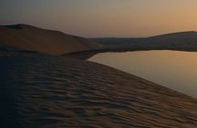 Doha: Desert Safari With Quad bike ,Camel Ride And Sand Boarding 