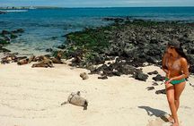 Galapagos - Exploring San Cristobal Island 4 Days