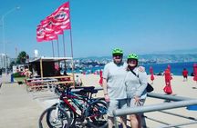 Full-Day Private Bike Tour of Concon Viña del Mar and Valparaiso from Santiago