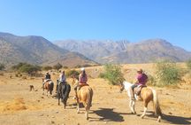 Horse Riding Tour in the Andes Santiago Chile