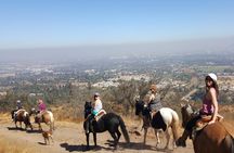 Horse Riding Tour in the Andes Santiago Chile