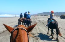 Viña del Mar and Valparaiso Private Tour Including Horseriding