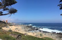 Pomaire - Isla Negra