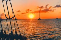 Sunset & Champagne Cruise on a Classic Schooner with boat dogs