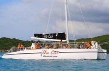 Turtle Cove Catamaran Snorkel and Sail at Little Buck Island