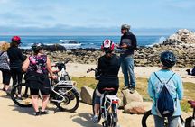 Monterey's 17 Mile Drive Electric Bike Tour, 2.5-3 hour