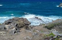 Barbados through the eyes of a local