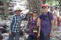 Day Trip To The Atlas Mountains & Camel Ride
