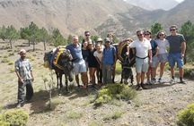 Day Trip To The Atlas Mountains & Camel Ride