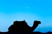 4 Days 3 Nights tour from Marrakech end up in Marrakech via Merzouga Desert 