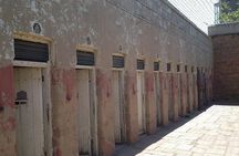 Johannesburg Historical, Apartheid Museum & Soweto 