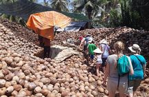 Private tour : Mekong Delta Rural Life - In Touch With Locals