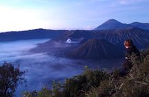 Mount Bromo Sunrise Tour from Surabaya or Malang - 1 Day