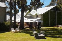 Self-Guided Biking Wine Tour (full day) in the Marlborough Region.