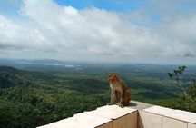 Bagan: Excursion to Mt. Popa National park day trip