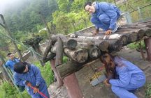 1-Day Dujiangyan Panda Base Volunteer Program Tour from Chengdu