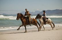 Beach Ride - Stanford