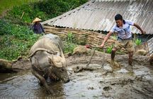 Daily Experience Authentic TaPhin Valley &Traditional Herbal bath
