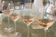 Small-Group Half-Day Languedoc Wine and Olive Tour from Montpellier