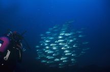 Crete Introductory Scuba Diving Experience