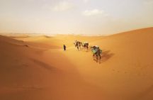 4 Days Hiking To Desert