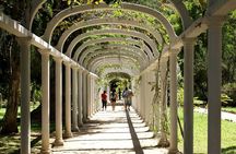 Rio de Janeiro Botanical Garden Tour