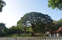 Kandy Full-Day Tour