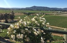 Valley of Casablanca