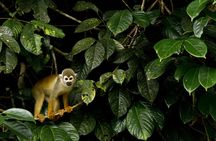 10-Day Galapagos and Amazon Quest