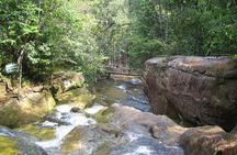 Presidente Figueiredo Waterfalls Day Trip from Manaus