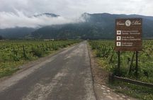 Colchagua Valley