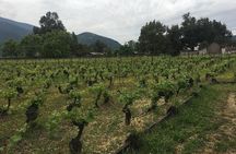 Colchagua Valley